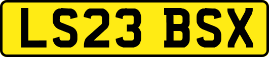LS23BSX
