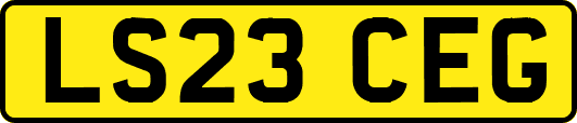 LS23CEG