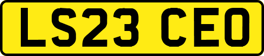 LS23CEO