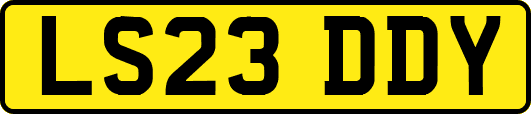 LS23DDY