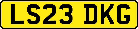 LS23DKG
