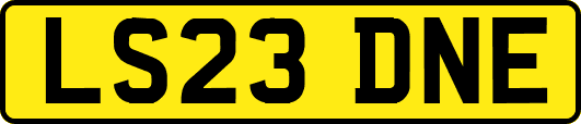 LS23DNE