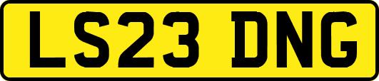 LS23DNG