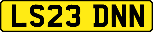 LS23DNN