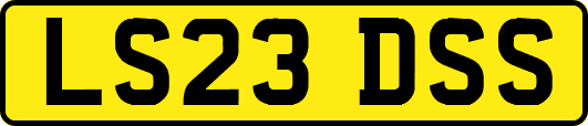 LS23DSS