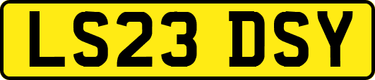 LS23DSY