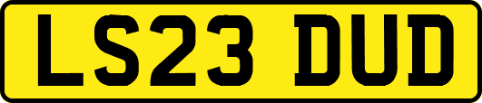 LS23DUD