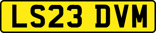 LS23DVM