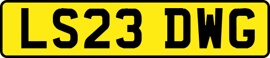 LS23DWG