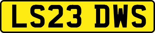 LS23DWS