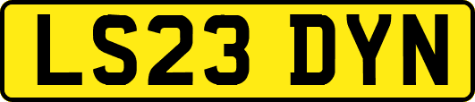 LS23DYN