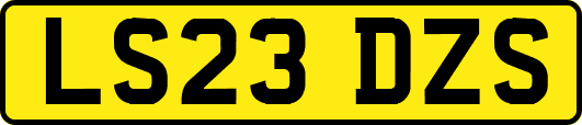 LS23DZS