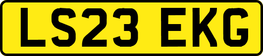 LS23EKG