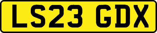 LS23GDX