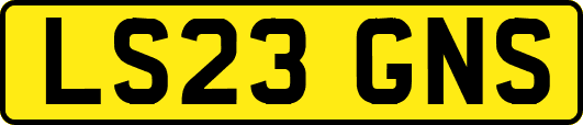 LS23GNS