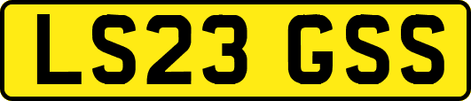 LS23GSS