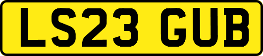 LS23GUB