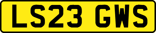 LS23GWS