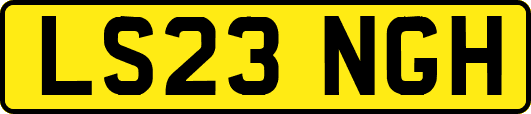 LS23NGH