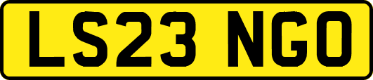LS23NGO