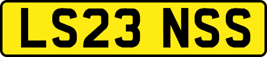 LS23NSS
