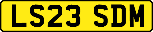 LS23SDM