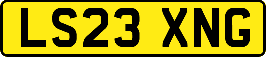 LS23XNG