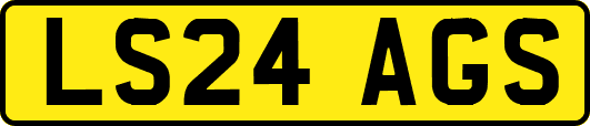 LS24AGS