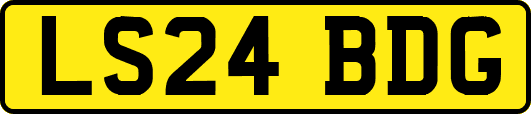 LS24BDG
