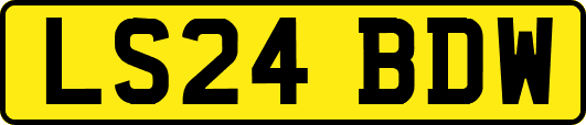 LS24BDW