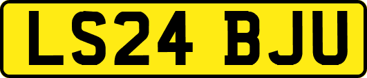 LS24BJU