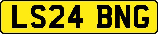 LS24BNG