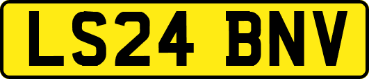 LS24BNV