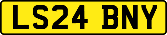 LS24BNY