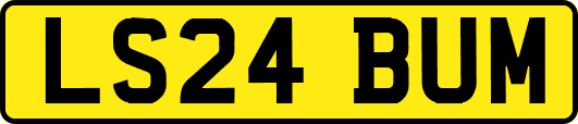 LS24BUM
