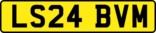 LS24BVM