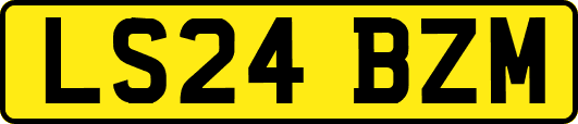 LS24BZM