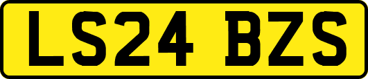 LS24BZS