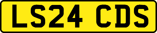 LS24CDS