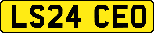 LS24CEO