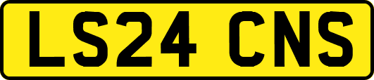 LS24CNS
