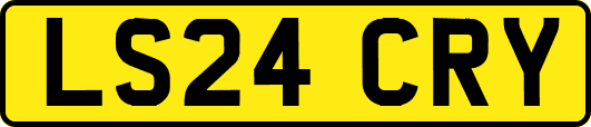 LS24CRY