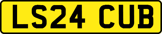 LS24CUB