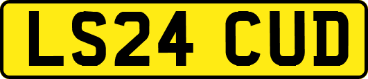 LS24CUD