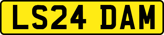 LS24DAM