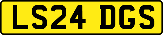 LS24DGS