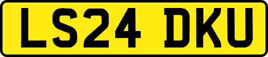 LS24DKU