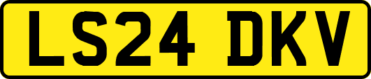 LS24DKV