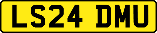 LS24DMU
