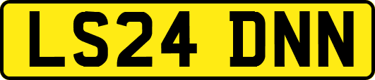 LS24DNN